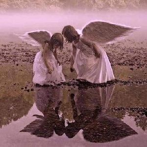 Meet your Posher, Joy